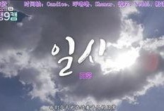 十周年最新爆料视频完整版,十周年最新爆料视频完整版深度解析